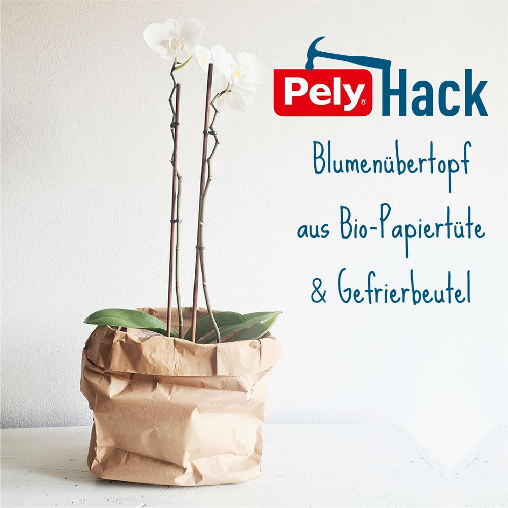 Pely DIY Hack Blumenübertopf aus Bio-Papiertüte und Gefrierbeutel_pely.de