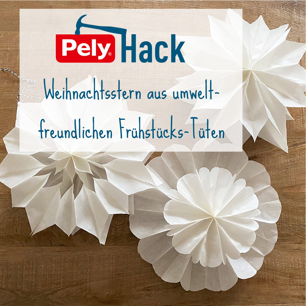 PELY Hack Weihnachtsstern aus umweltfreundlichen Fruehstueckstueten selber machen_pely.de